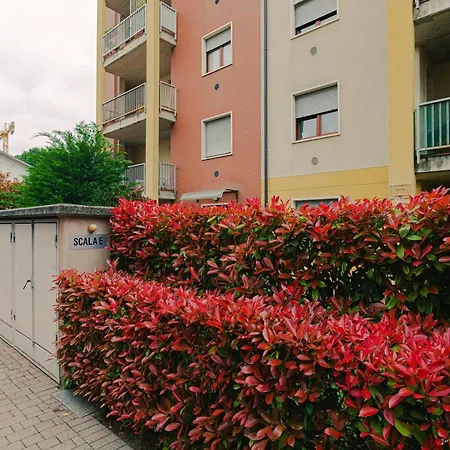 Experience - Royal Welcome Apartment