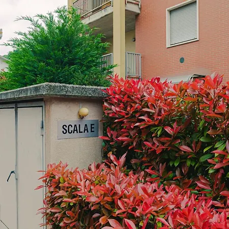 Experience - Royal Welcome Apartment Verona